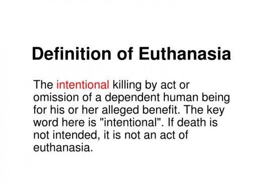essay euthanasia should legal essay euthanasia should legal