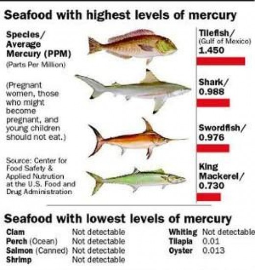 Swell Shark Diet Plan