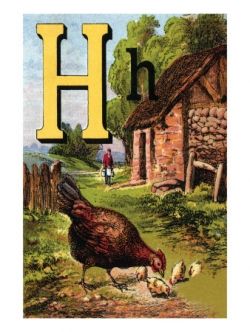 H For the Hen
