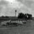 sheep on the Ren Martin farm during the 1930s sheep on the Ren Martin farm during the 1930s