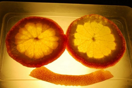 Oranges on the Light Table
