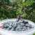 Go to a pick-your-own place for strawberries or blueberries. Go to a pick-your-own place for strawberries or blueberries.