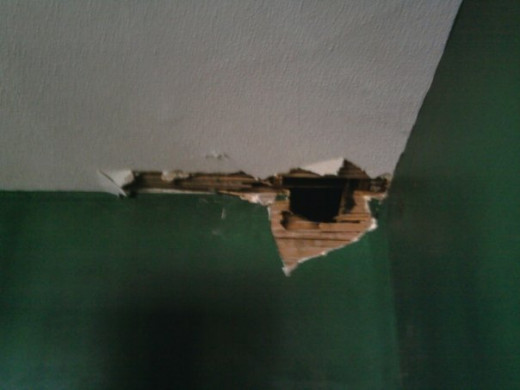 The fire broke though from the attic into the dining room here