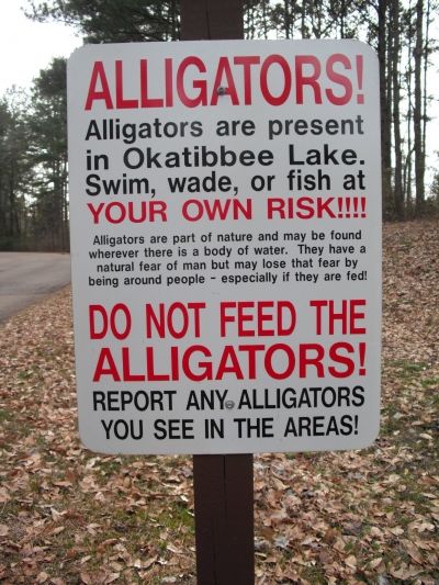 Florida Alligator Sign (used with permission from CE Wallace)