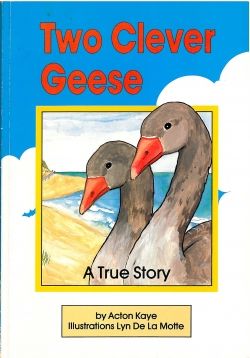 Two Clever Geese - Acton Kaye