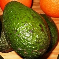 Unripened avocados by Barbs @ Synchronicity House
