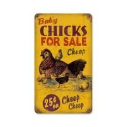 Search online for local chicken resources.