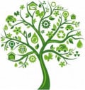 Gardening with Recycled Items