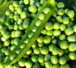 peas are high in protein