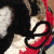 Doing the Crobroidery for the penguin Doing the Crobroidery for the penguin