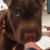 How can anyone resist these beautiful green eyes and that wrinkled little face! How can anyone resist these beautiful green eyes and that wrinkled little face!