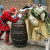 Image credit: http://www.flickr.com/photos/roberto8080/ Image credit: http://www.flickr.com/photos/roberto8080/