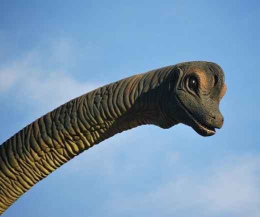 Dinosaur statue head