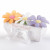 Bunch O Bloomers Three Bloomers for Blooming Bums - shipping presentation Bunch O Bloomers Three Bloomers for Blooming Bums - shipping presentation