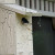 Tree Swallows and Bluebirds love our custom made birdhouse Tree Swallows and Bluebirds love our custom made birdhouse