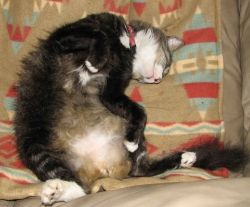 Tips for Singer Relax by Diane Cass