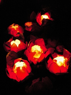 Floating Chinese Lotus Lanterns by SqueakyMarmot