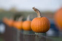 Things to do in New Hampshire in the fall.