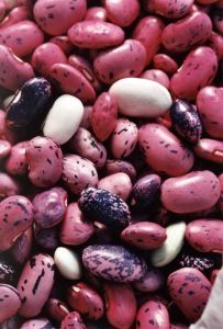 Beans