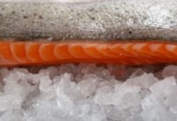 Salmon and other fish are a great source of omega 3 fatty acids