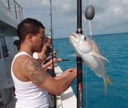 sport fishing charter boat sport fishing charter boat