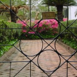 Architecture and Gardens of Charleston, South Carolina