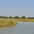 Another view of some beautiful wetlands on the Chesapeake Bay. Another view of some beautiful wetlands on the Chesapeake Bay.