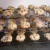 Chocolate chip cookies Chocolate chip cookies