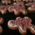 Gingerbread Men cookies with icing and sprinkles Gingerbread Men cookies with icing and sprinkles