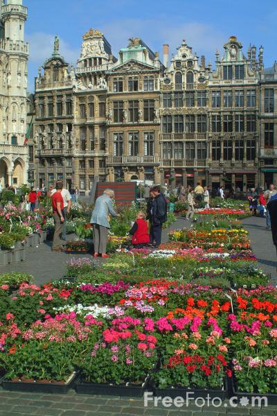 Brussels flower market Photographer: Ian Britton http://www.freefoto.com/browse/1401-00-0?ffid=1401-00-0 