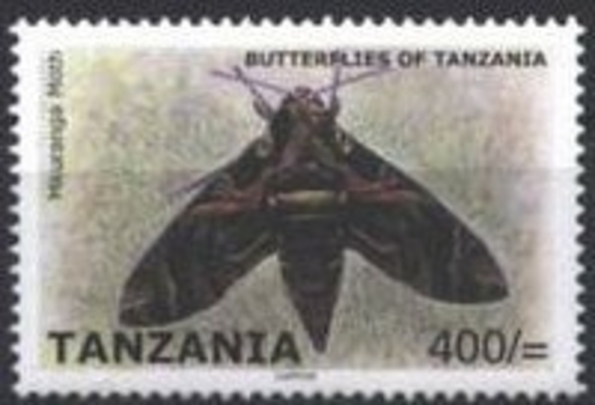 Tanzania postal service
