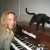 Molly hunts for kitty treats, sometimes walking on the keyboard while I am practicing. She thinks she owns the organ. Molly hunts for kitty treats, sometimes walking on the keyboard while I am practicing. She thinks she owns the organ.
