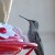 Feeders with a perch give the hummingbird a place to rest while feeding and give you a chance to see these beautiful little creatures sitting still. Feeders with a perch give the hummingbird a place to rest while feeding and give you a chance to see these beautiful little creatures sitting still.