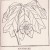 Illustration from "The Home and School Reference Work, Volume V" by The Home and School Education Society, H. M. Dixon. Published in 1917. Illustration from "The Home and School Reference Work, Volume V" by The Home and School Education Society, H. M. Dixon. Published in 1917.