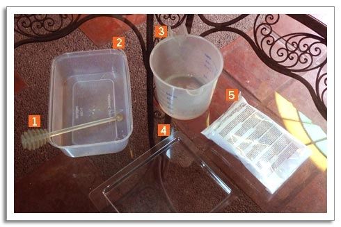 Paw Print Making Kit Materials