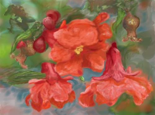 Pomegranate Digital Oil Painting