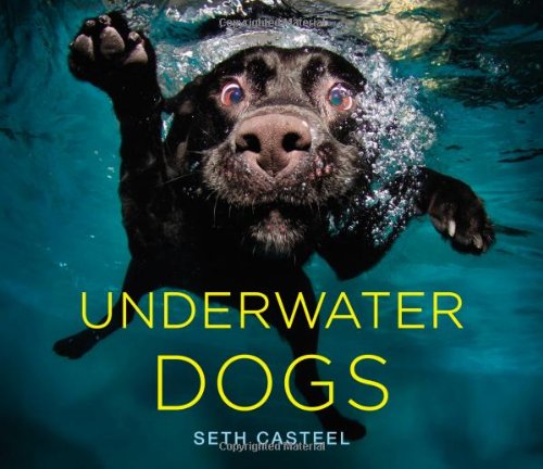 Underwater Dogs by Amazon
