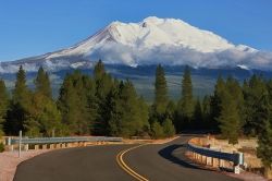 Road to Shasta