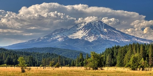 #445 - MOUNT SHASTA NEAR McCLOUD #12 HDR TD (1:2)
