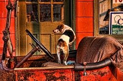 1915 DODGE AND DOG