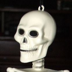 Skeleton Themed Halloween Party
