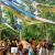 Aurora festival Aurora festival