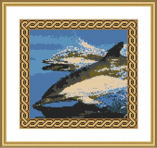 Picture Credit  'Dolphins' - designed by the Author, faeriesong, for celtic-cross-stitch.com