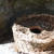 An old bee skep in the apiary area. An old bee skep in the apiary area.