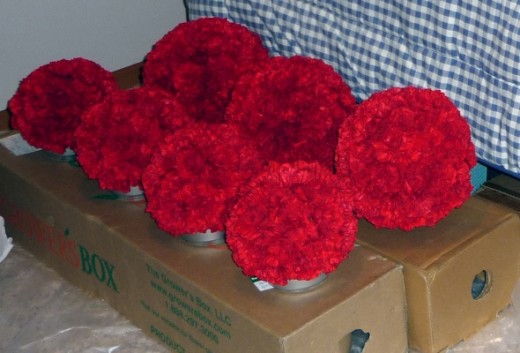 Carnation Pomander Wedding Decorations