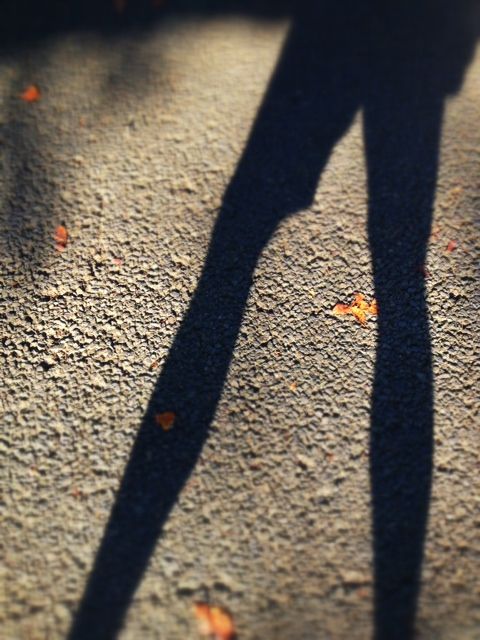 shadow of myself