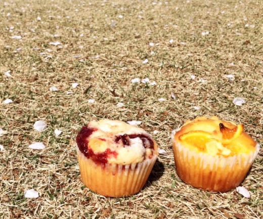 Strawberry Muffins at the park