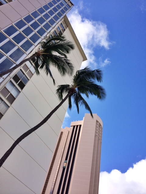 Blue skies await you in Honolulu.