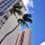 Blue skies await you in Honolulu.