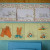 flap books flap books